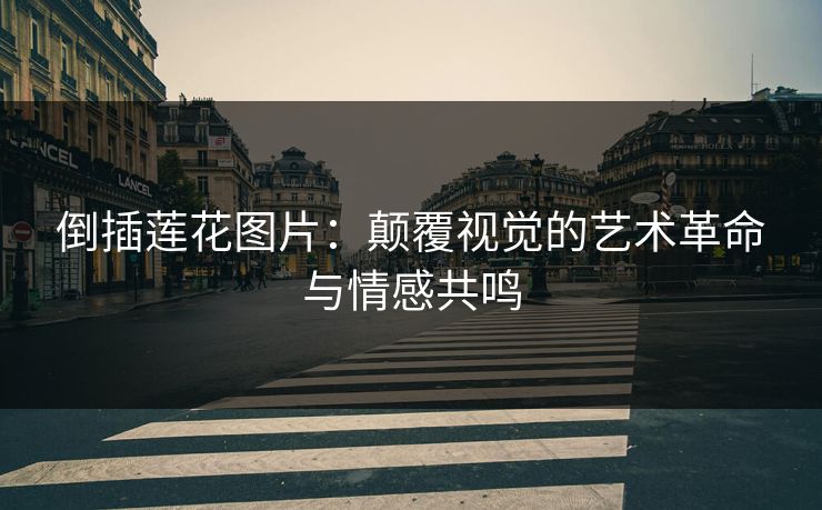 倒插莲花图片：颠覆视觉的艺术革命与情感共鸣