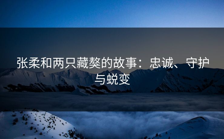 张柔和两只藏獒的故事：忠诚、守护与蜕变