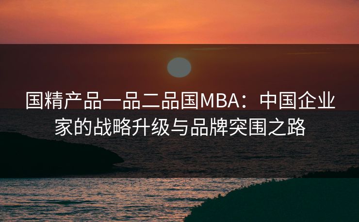 国精产品一品二品国MBA：中国企业家的战略升级与品牌突围之路