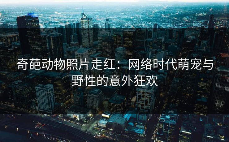 奇葩动物照片走红：网络时代萌宠与野性的意外狂欢