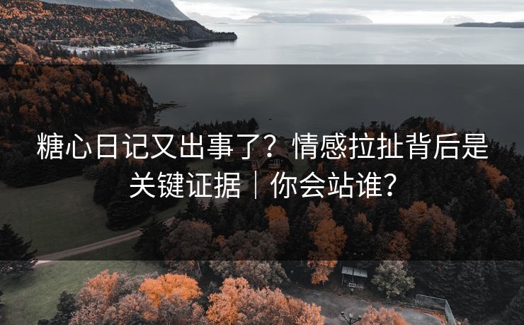 糖心日记又出事了？情感拉扯背后是关键证据｜你会站谁？